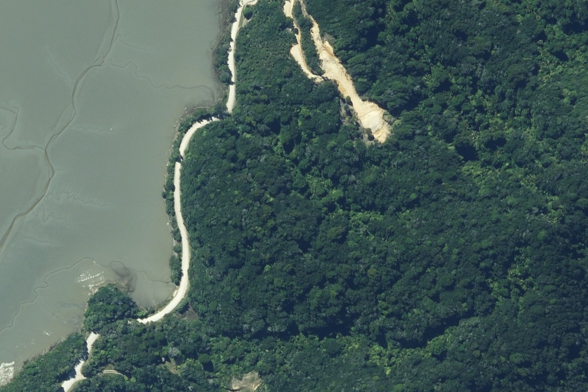 Native bush, farm boundary and estuary margin in 0.3 m aerial photography.
