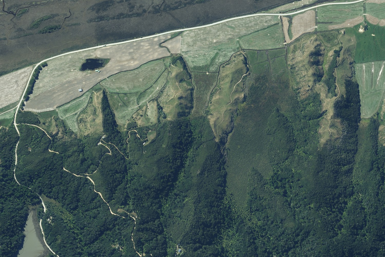 The identical ground photographed at 0.3 m: bush-covered spurs, pasture on the terrace and the estuary margin.