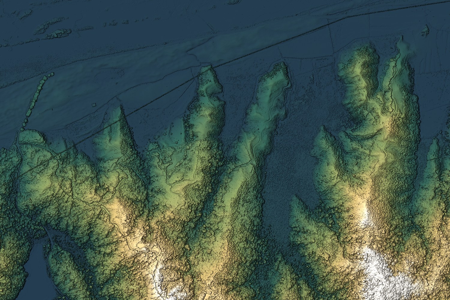 Multi-directional hillshade with hypsometric tint of a 1 m LiDAR surface, showing spurs, gullies and individual tree crowns.