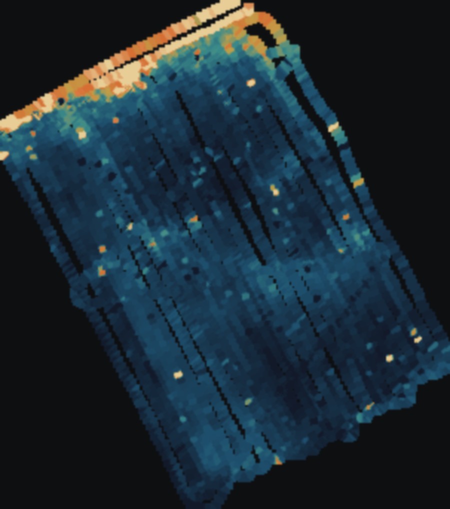 Interpolated apparent electrical conductivity from the shallowest coil, showing traverse lines and a conductive headland.