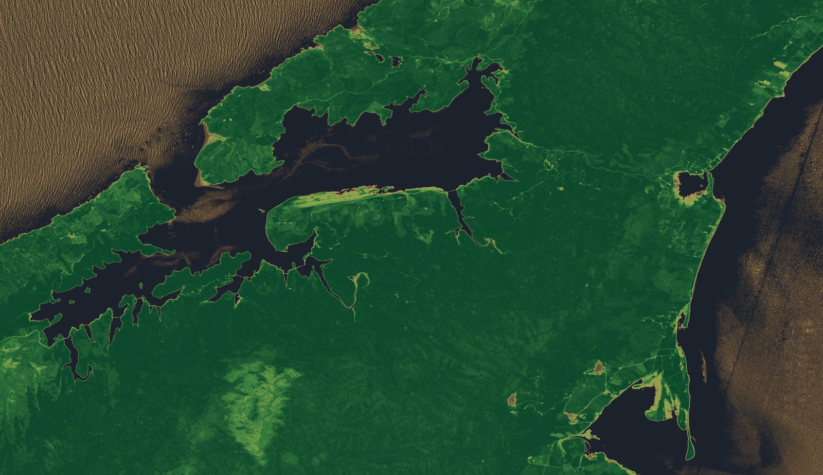 NDVI computed from the Sentinel-2 red and near-infrared bands.