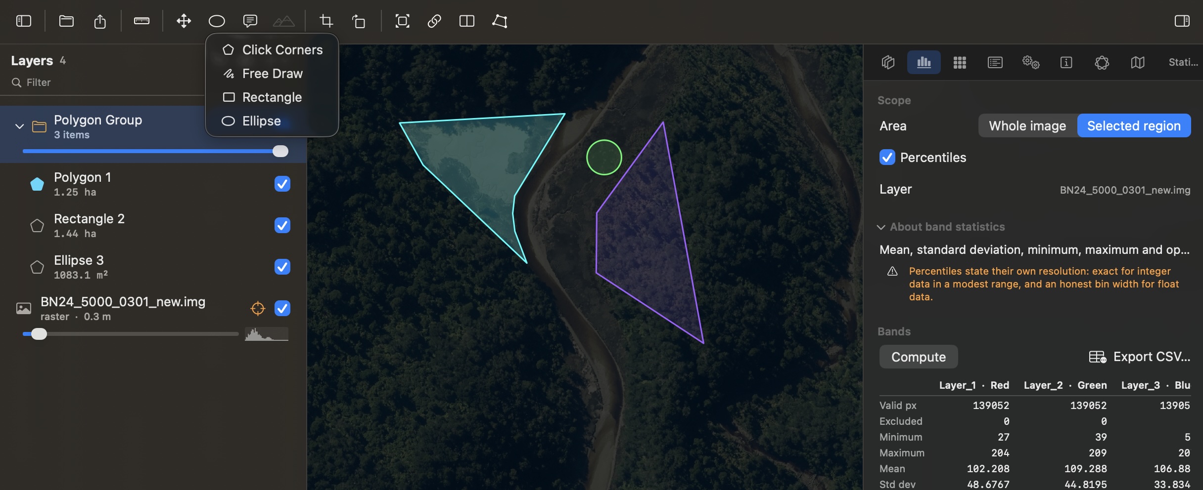 Rectangle, ellipse and freehand polygons over a raster, one marked as the processing region